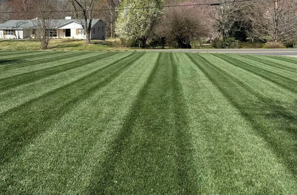 Top-rated residential landscaping in Butte, MT by Seamus Swartz Llc DBA Quick Trim Lawn And Snow Removal Service