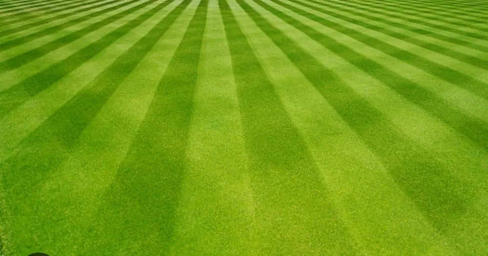 Custom residential landscaping for beautiful yards in Butte, MT by Seamus Swartz Llc DBA Quick Trim Lawn And Snow Removal Service