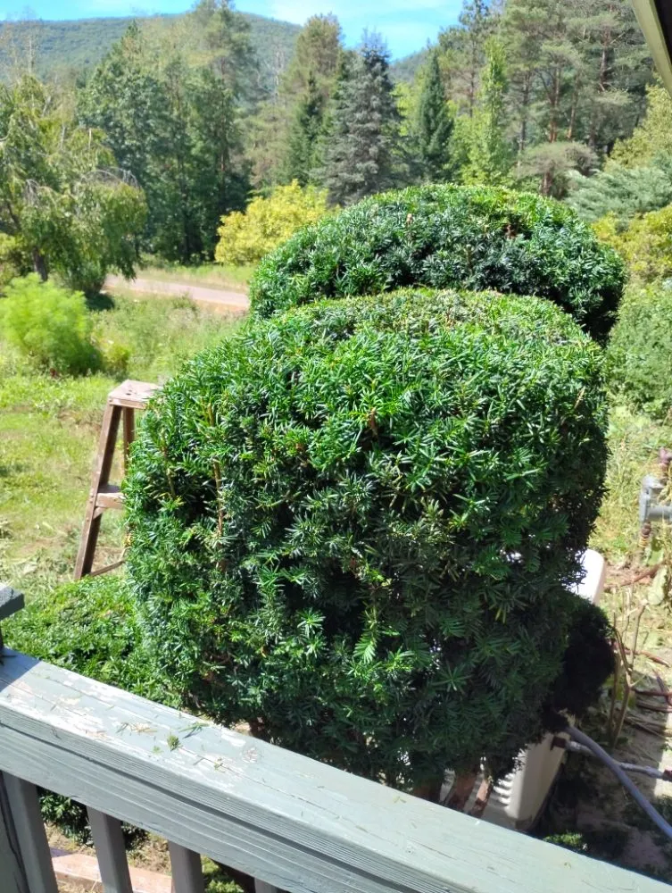 Local landscape installation with custom design across Wellsboro, PA - Sean Bailey