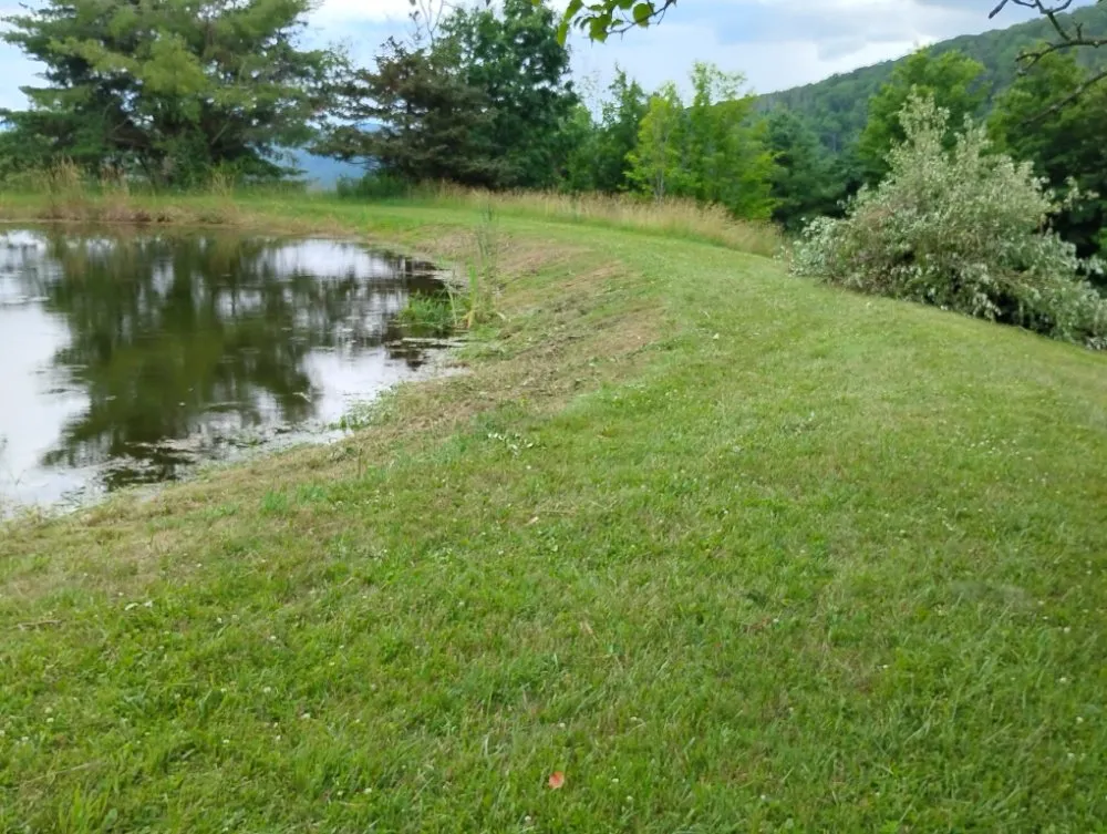 Custom yard cleanup service in Wellsboro, PA by Sean Bailey