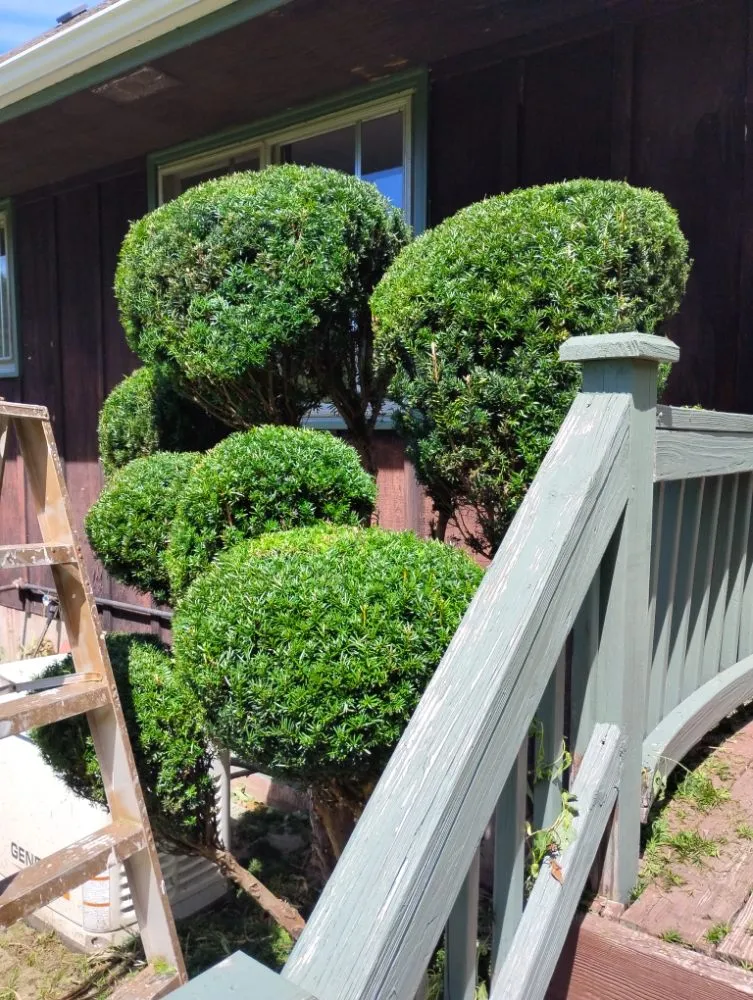 Custom outdoor landscaping near you in Wellsboro, PA by Sean Bailey