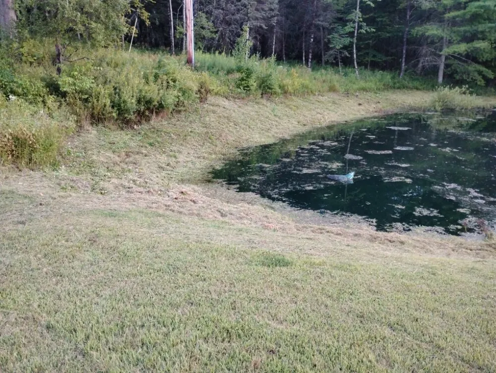 Reliable lawn mowing service for homes across Wellsboro, PA - Sean Bailey