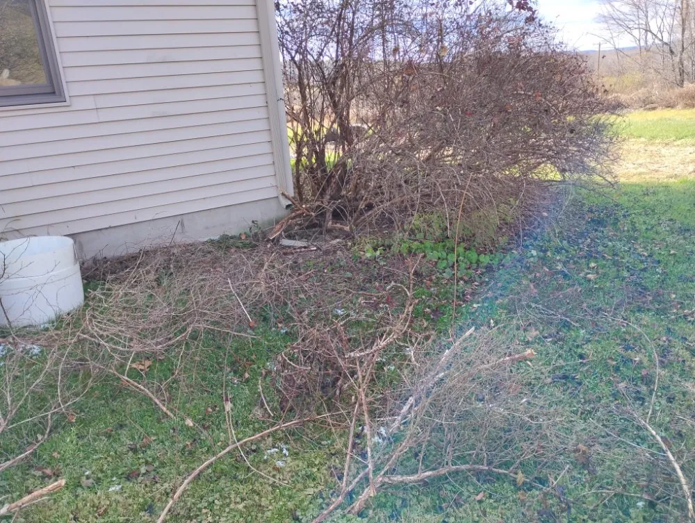 Custom lawn mowing service experts serving Wellsboro, PA - Sean Bailey