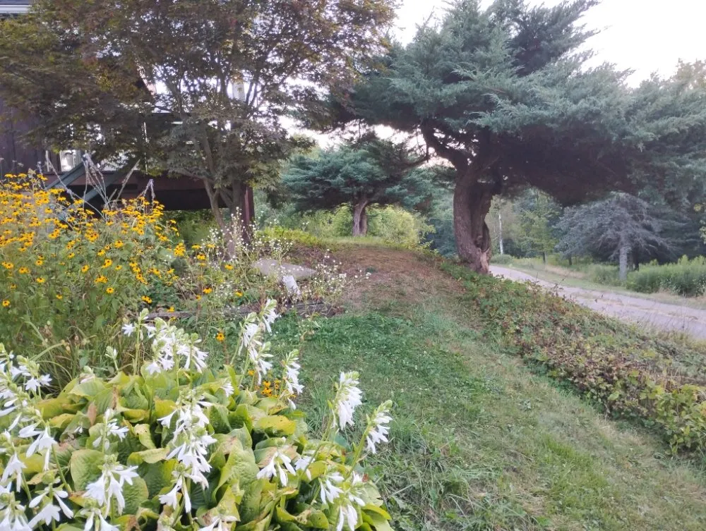 Professional outdoor landscaping for outdoor upgrades in Wellsboro, PA by Sean Bailey