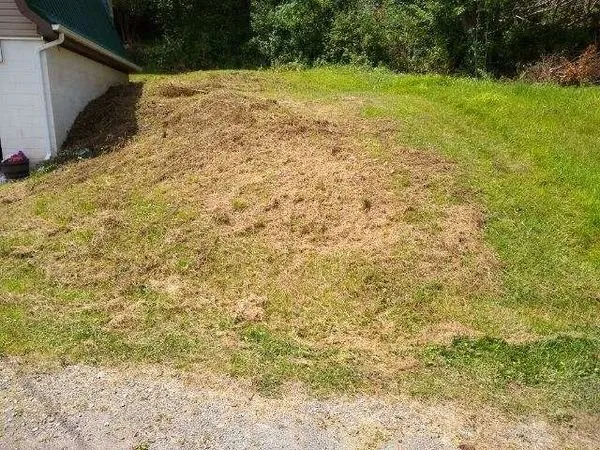 Affordable garden landscaping for beautiful yards in Wellsboro, PA by Sean Bailey