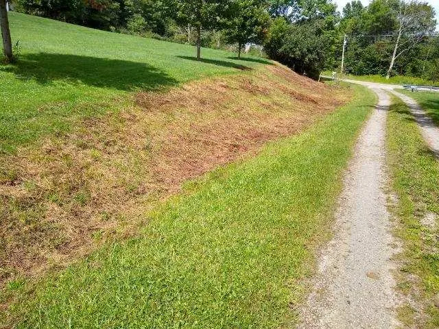 Custom landscape design for year-round maintenance across Wellsboro, PA - Sean Bailey