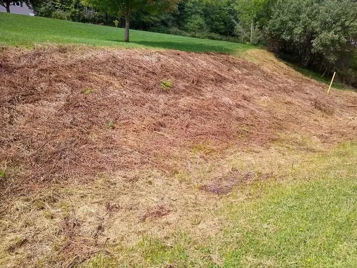 Affordable landscape design for outdoor upgrades in Wellsboro, PA by Sean Bailey