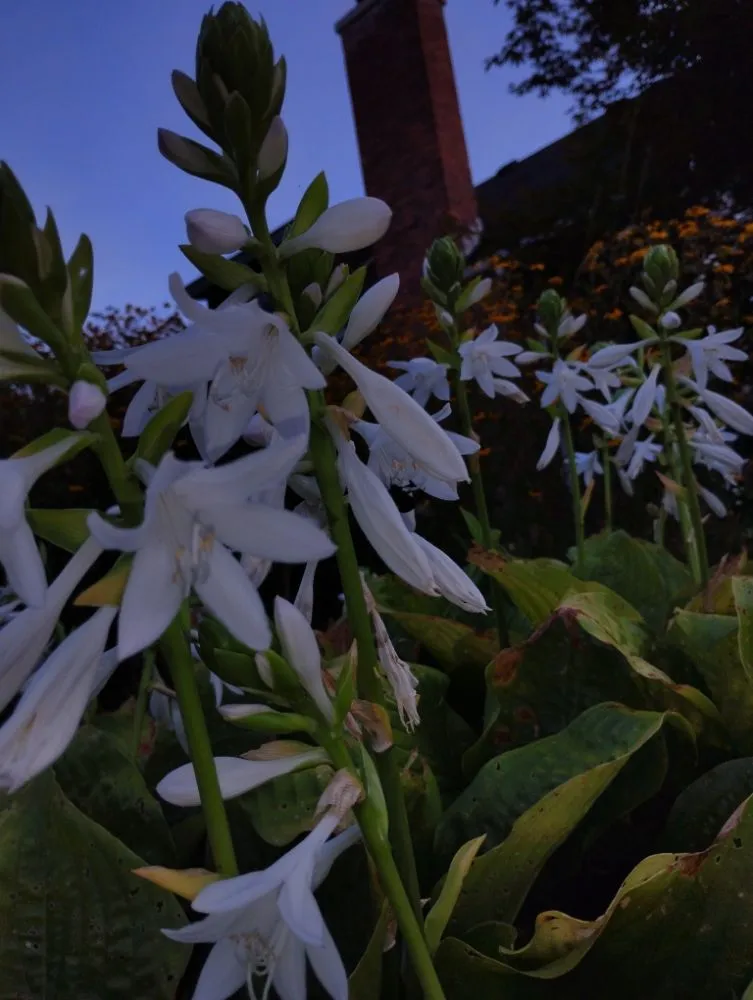 Professional landscape design experts serving Wellsboro, PA - Sean Bailey