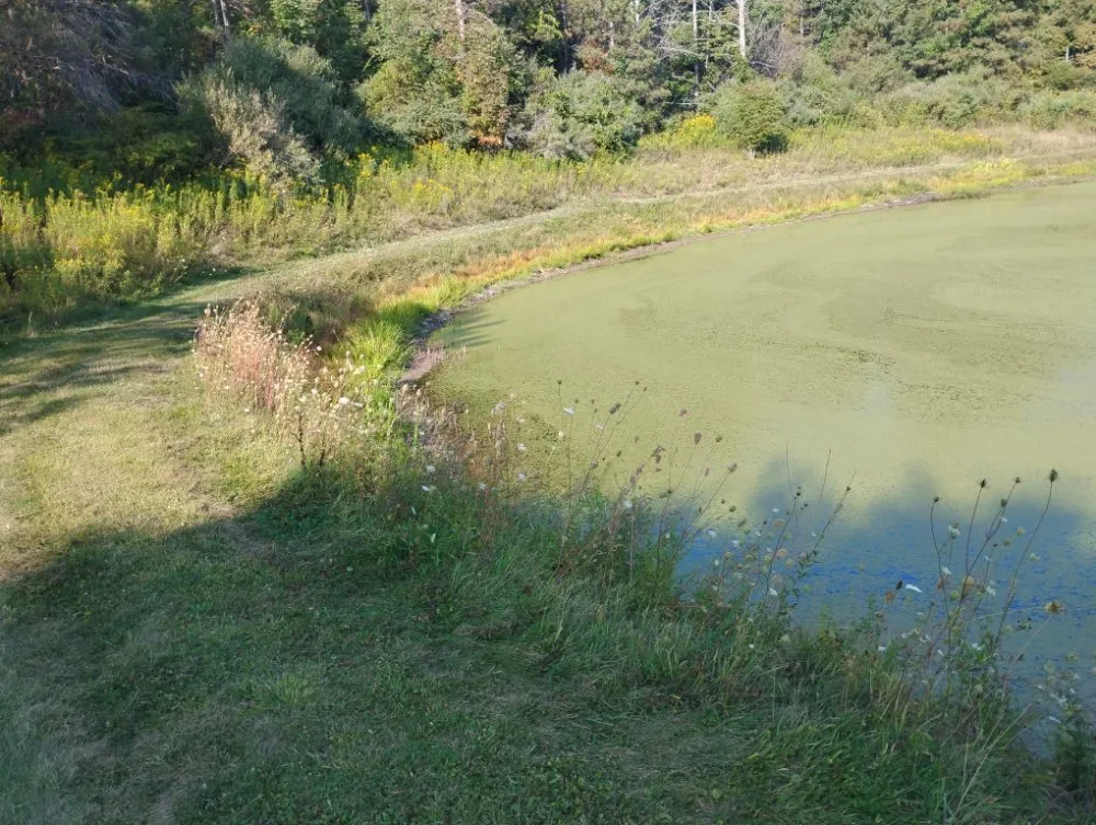 Professional garden landscaping experts serving Wellsboro, PA - Sean Bailey