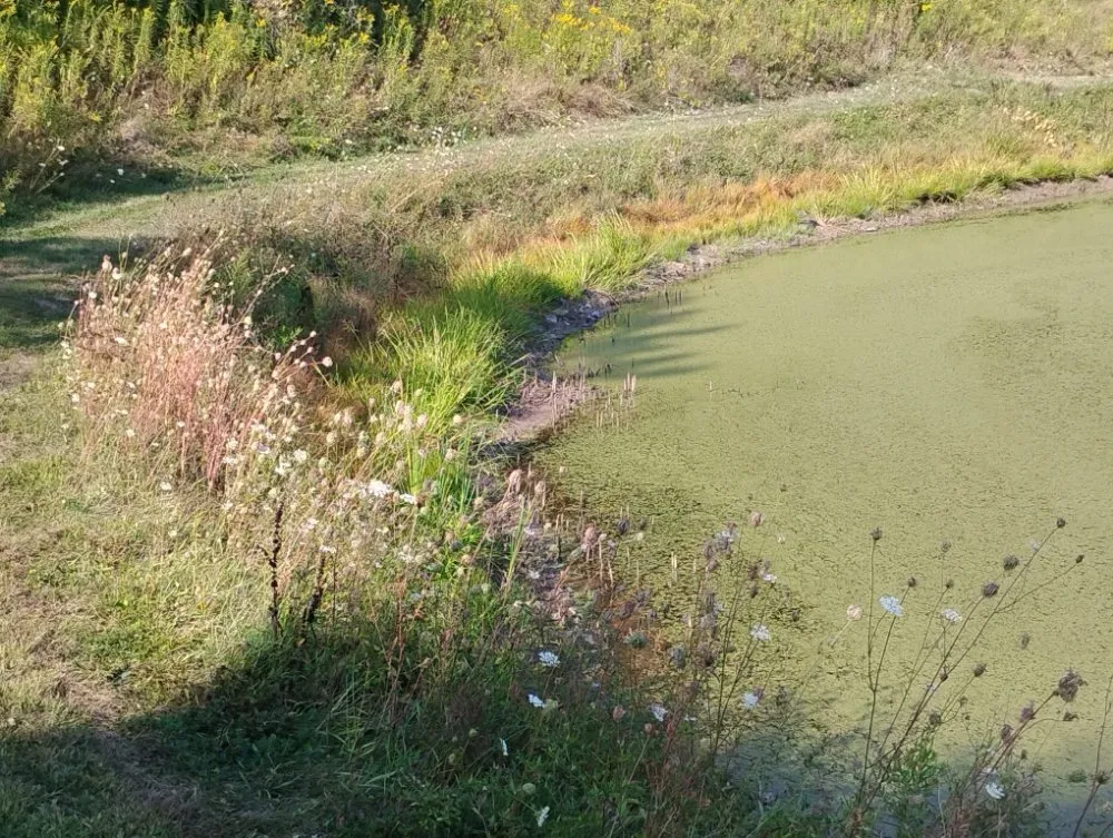 Local landscape design for year-round maintenance in Wellsboro, PA by Sean Bailey