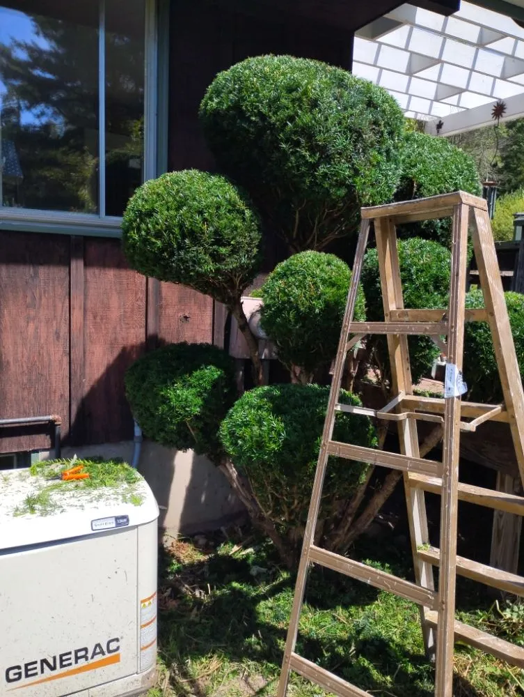 Local outdoor landscaping for outdoor upgrades in Wellsboro, PA by Sean Bailey