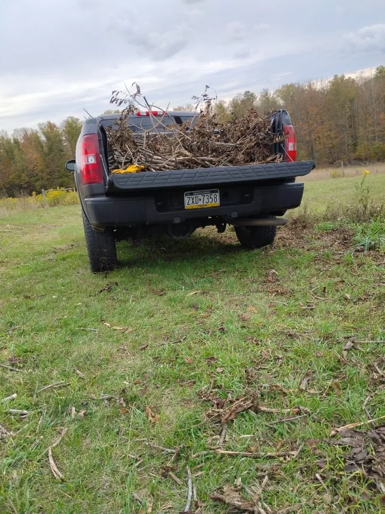 Professional yard cleanup service experts serving Wellsboro, PA - Sean Bailey