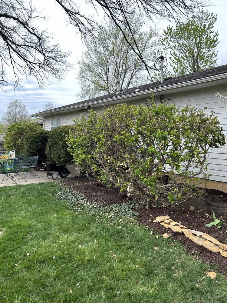 Affordable landscape design in Lawrence, KS - Sean Buerger Landscaping Design