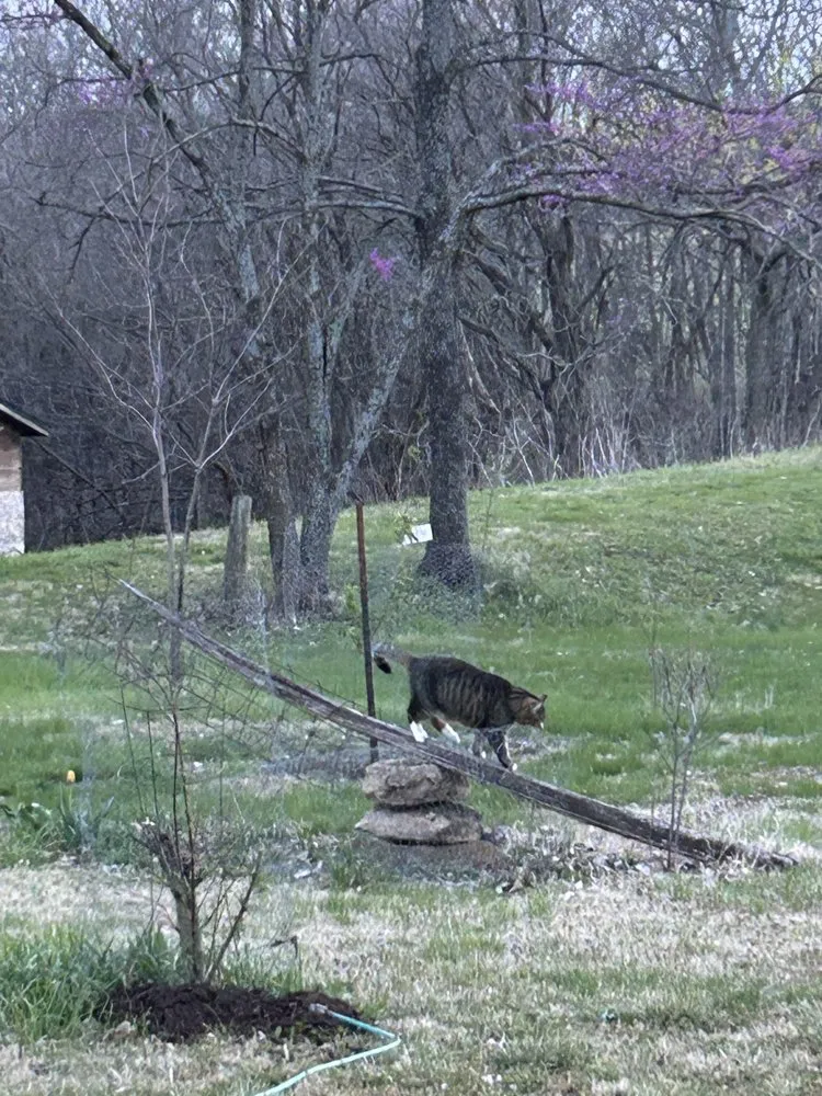 Local lawn care service for homes across Lawrence, KS - Sean Buerger Landscaping Design