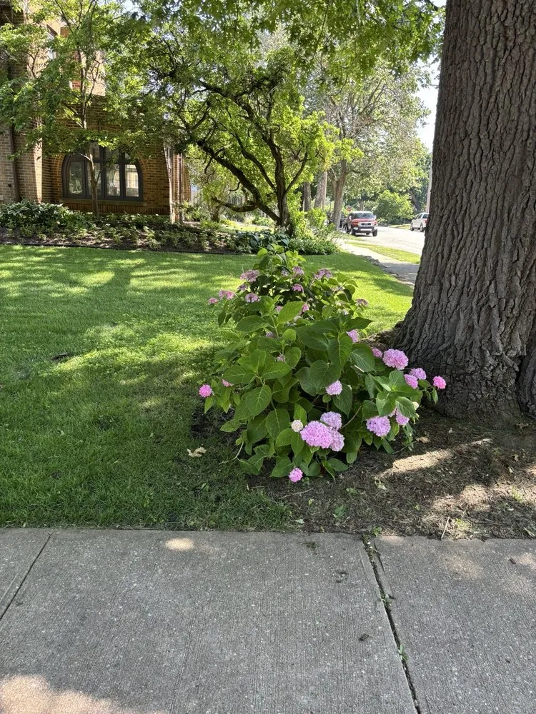 Top-rated landscape installation for beautiful yards in South Bend, IN by Sean Lawn and Property Maintanace