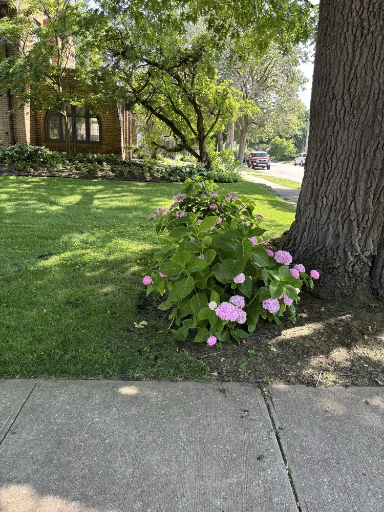 Custom garden landscaping in South Bend, IN by Sean Lawn and Property Maintanace