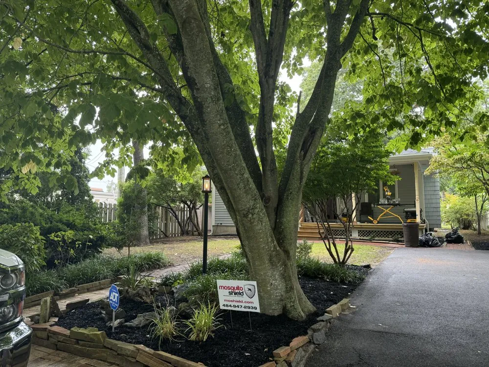 Custom landscaping services in Pleasantville, NJ - Sean Patrick Services