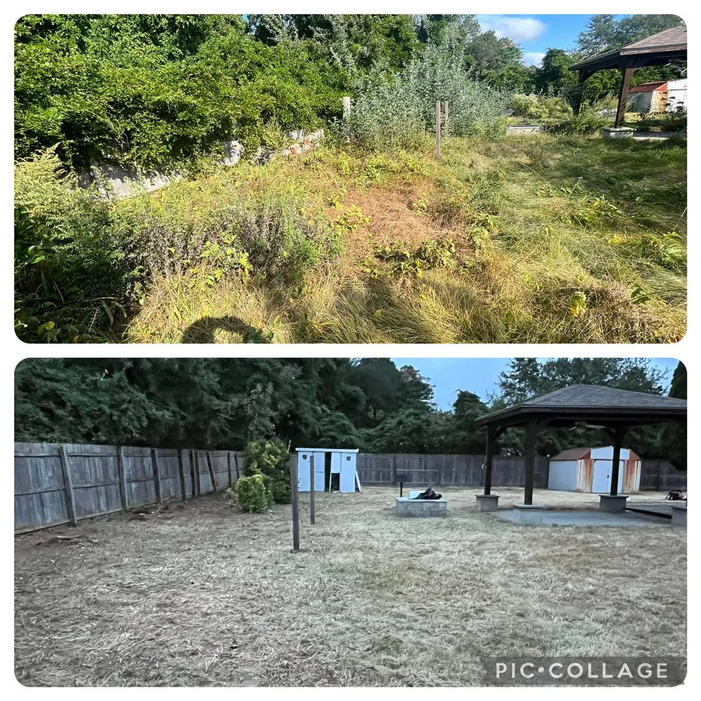 Professional landscaping services for homes across Pleasantville, NJ - Sean Patrick Services