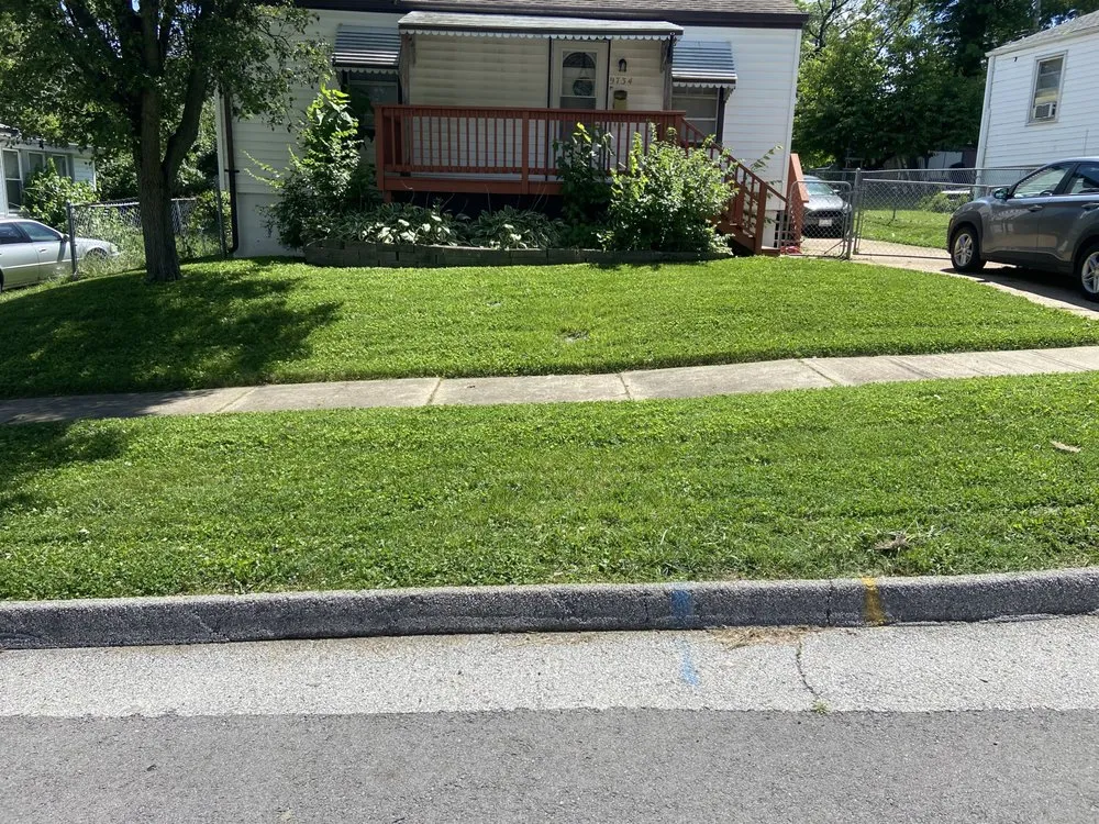 Trusted yard cleanup service near you across Saint Louis, MO - Sean Smith Lawn Care