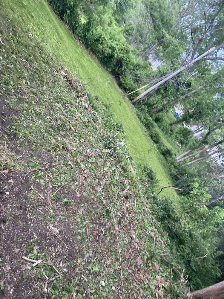 Expert lawn care service in Saint Louis, MO by Sean Smith Lawn Care