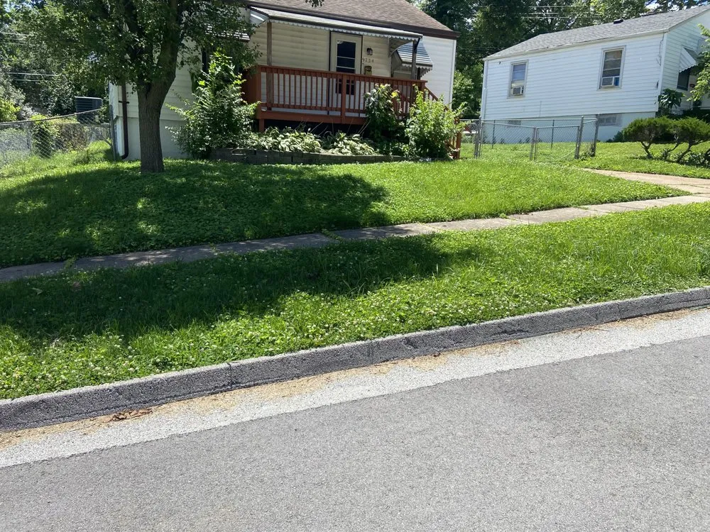 Trusted yard cleanup service in Saint Louis, MO by Sean Smith Lawn Care