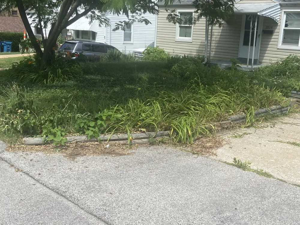 Reliable yard cleanup service in Saint Louis, MO - Sean Smith Lawn Care