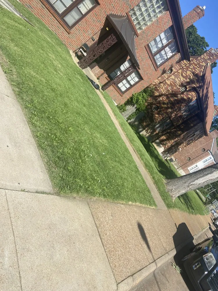 Professional yard cleanup service in Saint Louis, MO by Sean Smith Lawn Care