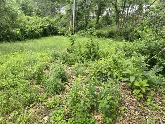 Sean Smith Lawn Care Logo