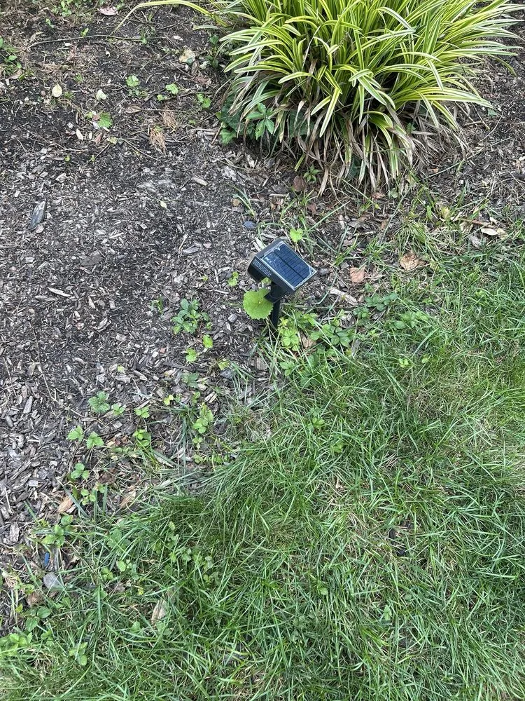 Trusted lawn care service in Keansburg, NJ - Sean Tonne Lawn Care