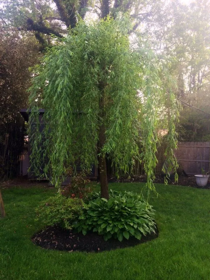 Custom outdoor landscaping in Keansburg, NJ - Sean Tonne Lawn Care