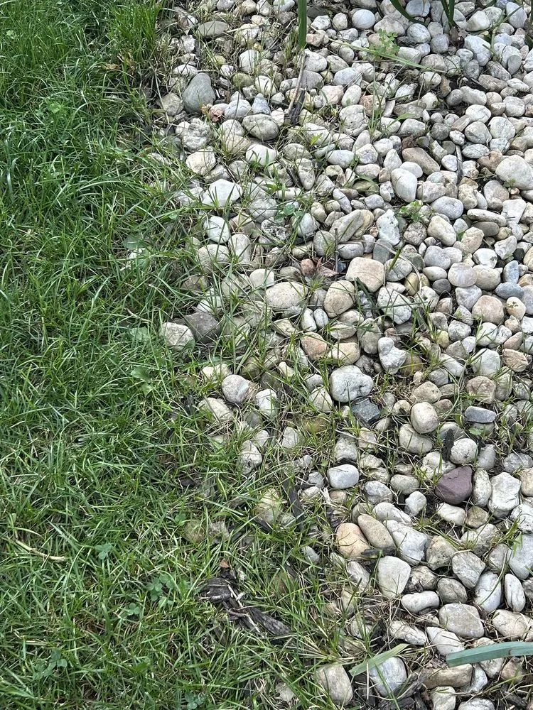 Affordable lawn care service in Keansburg, NJ - Sean Tonne Lawn Care