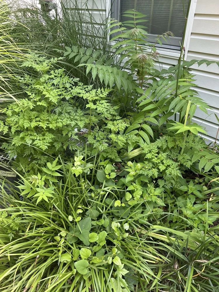 Top-rated landscape design experts serving Keansburg, NJ - Sean Tonne Lawn Care