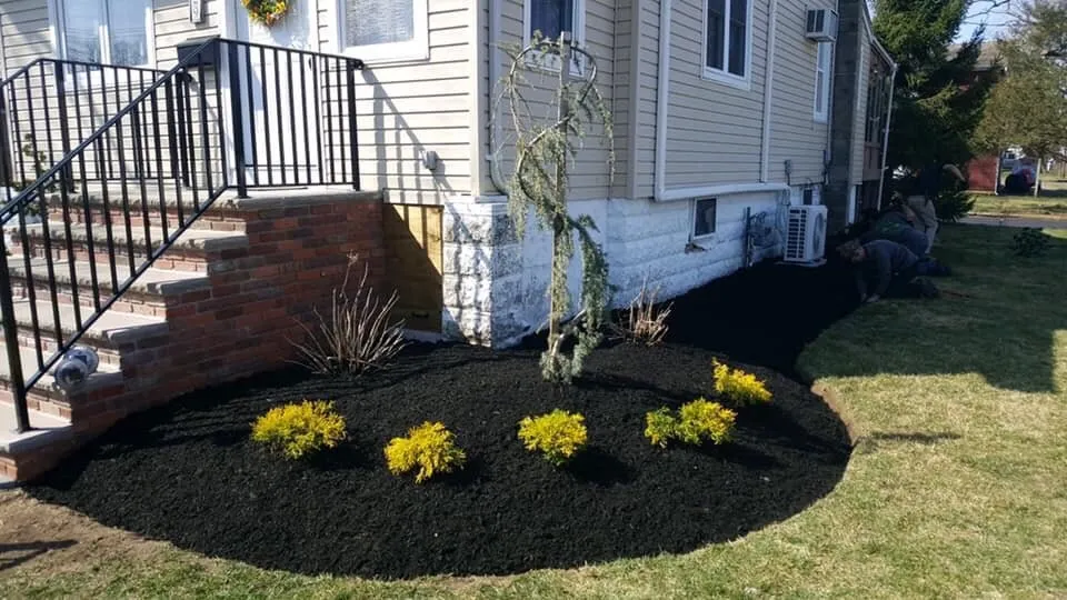 Top-rated yard cleanup service in Keansburg, NJ by Sean Tonne Lawn Care