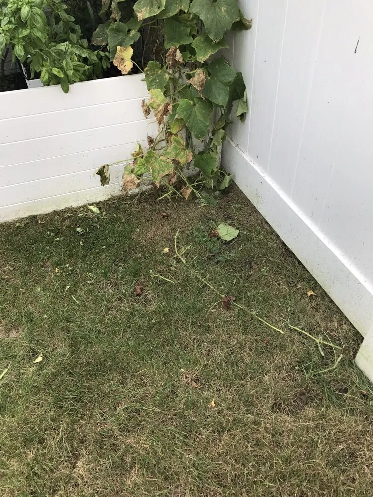 Expert landscape installation in Keansburg, NJ by Sean Tonne Lawn Care