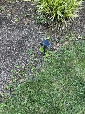 Sean Tonne Lawn Care