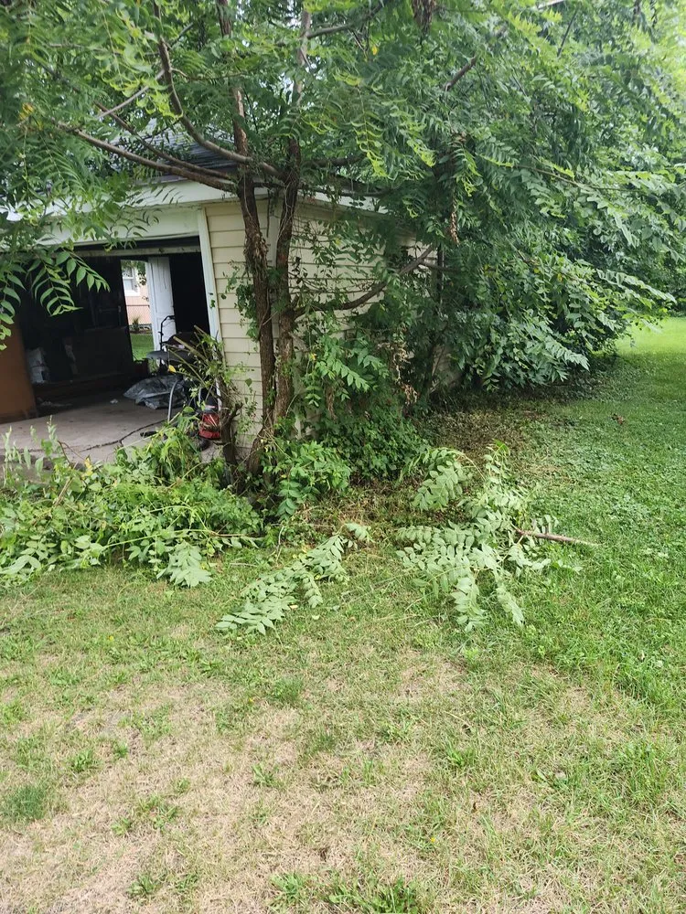 Custom landscaping services for homes across Joliet, IL - Sean Will Do It