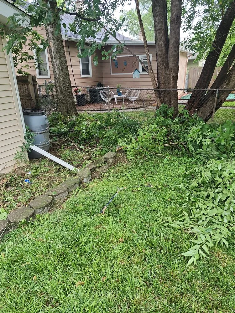 Trusted residential landscaping in Joliet, IL - Sean Will Do It