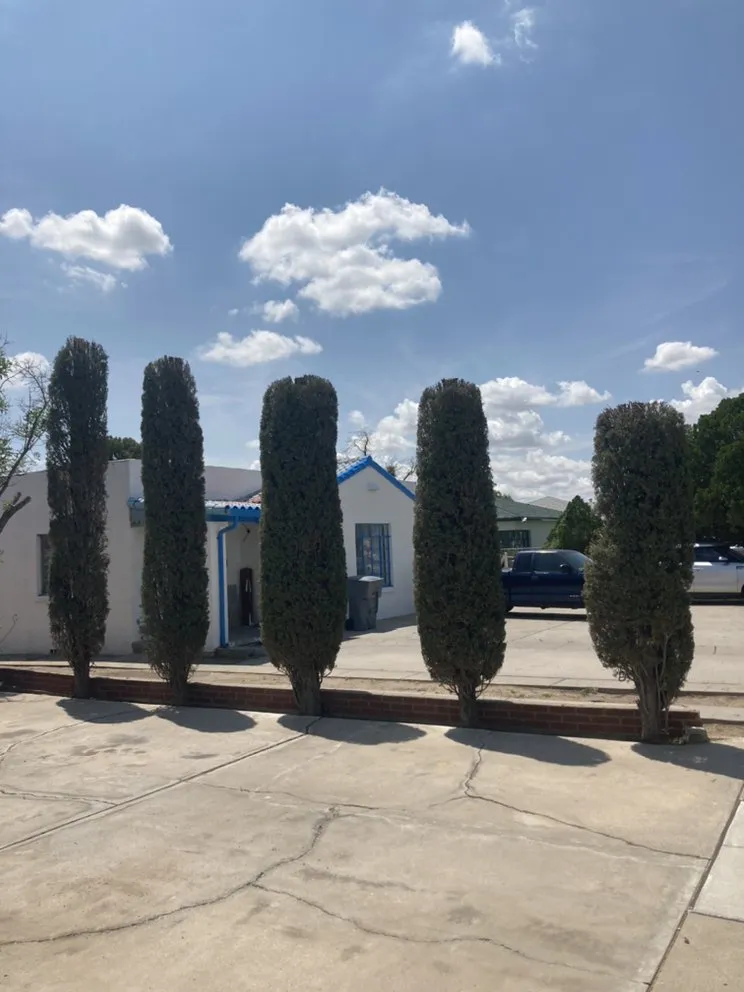 Custom lawn care service experts serving El Paso, TX - Sean’s Green and Clean Yard Services