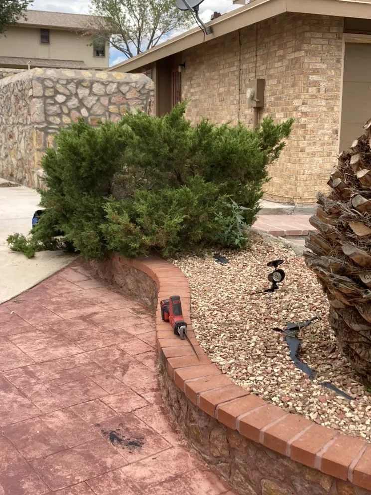 Custom lawn care service in El Paso, TX by Sean’s Green and Clean Yard Services