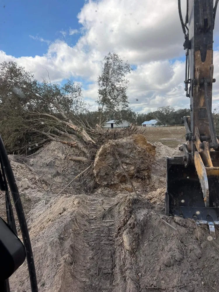 Custom landscape installation for year-round maintenance in Chiefland, FL by Sean's Land Service & Demolition