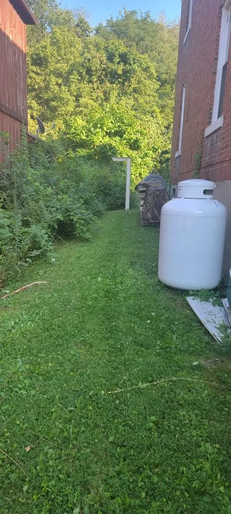 Professional landscape design experts serving Buchanan, VA - Seans Landcare