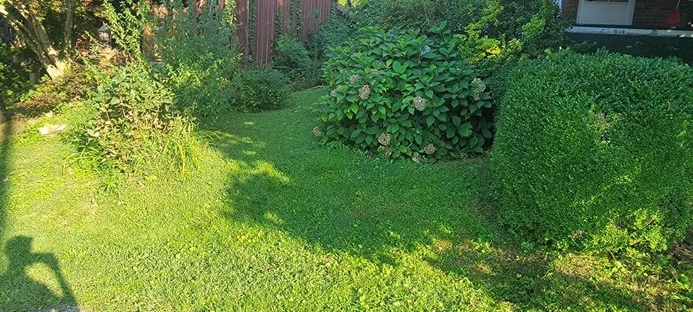 Top-rated landscape design in Buchanan, VA by Seans Landcare