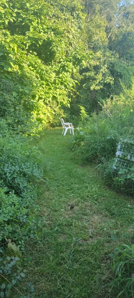 Top-rated landscape installation for year-round maintenance across Buchanan, VA - Seans Landcare