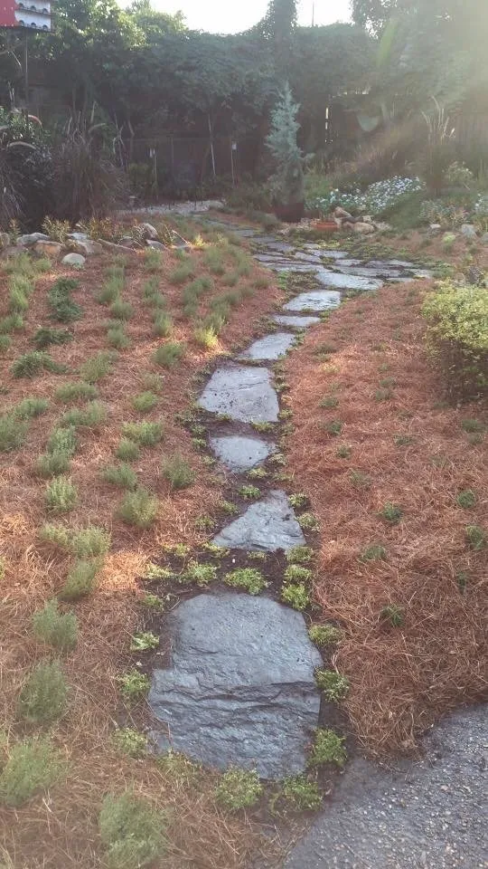 Local landscaping services with custom design across Belle Chasse, LA - Sean's Landscaping