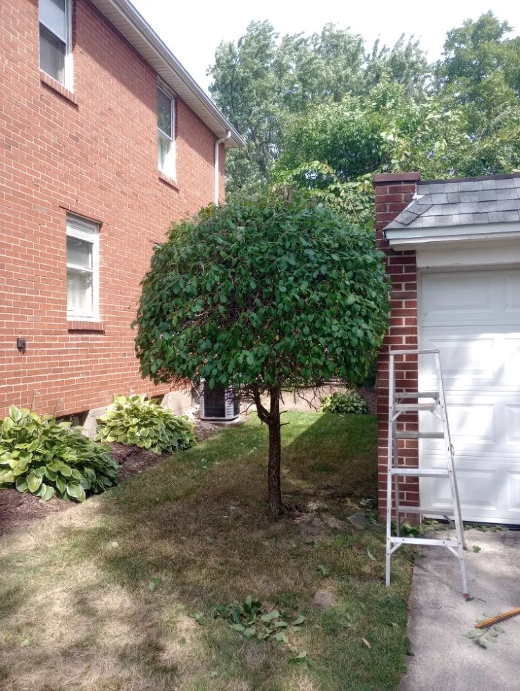 Trusted landscaping services in Buffalo, NY by Sean's Landscaping