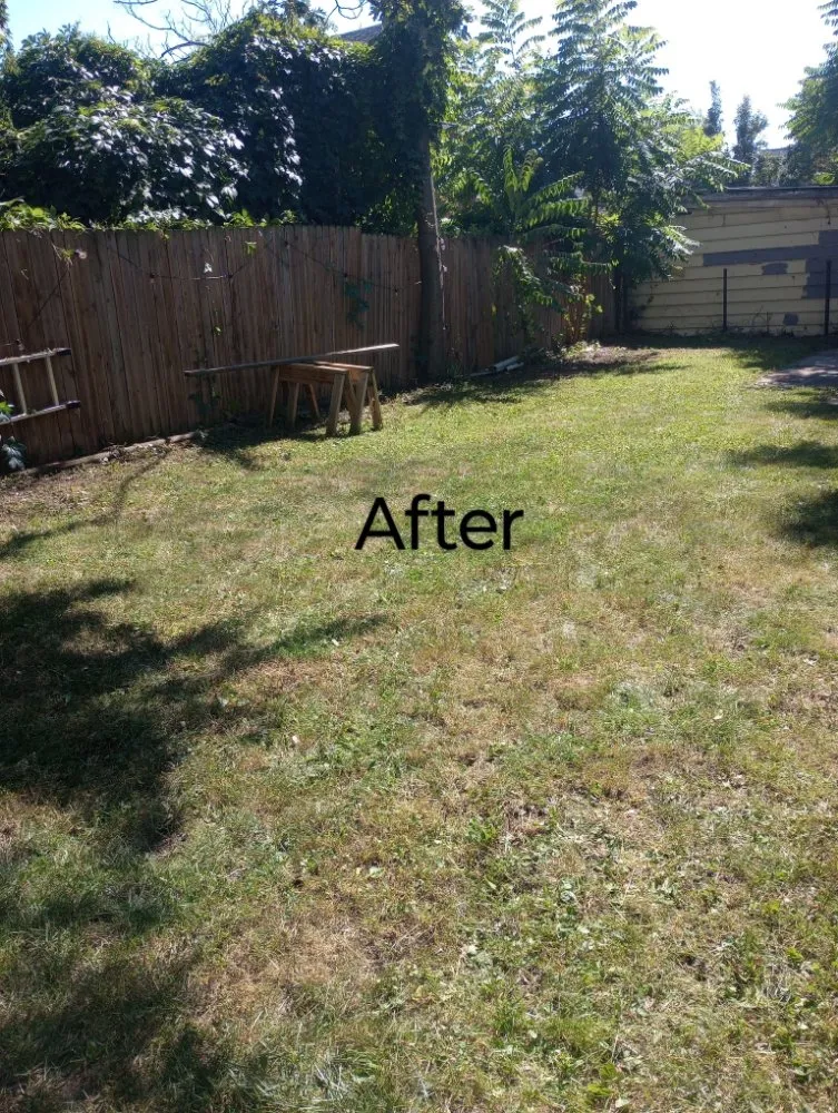 Top-rated landscape installation experts serving Buffalo, NY - Sean's Landscaping