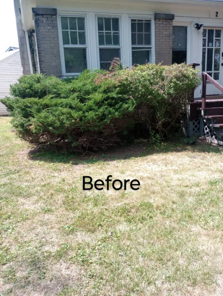 Professional garden landscaping in Buffalo, NY by Sean's Landscaping