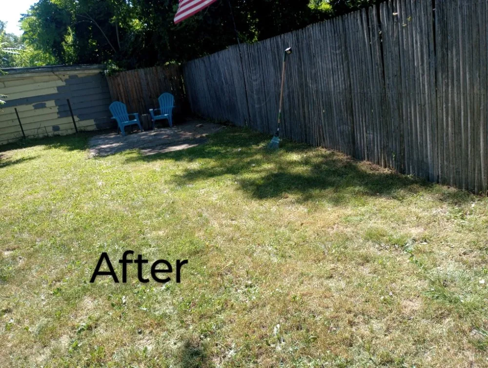 Expert lawn care service in Buffalo, NY - Sean's Landscaping
