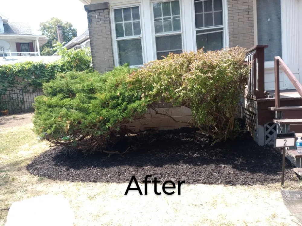 Expert outdoor landscaping with custom design across Buffalo, NY - Sean's Landscaping