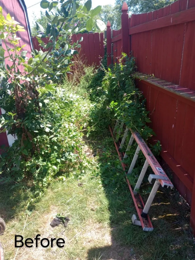 Expert garden landscaping in Buffalo, NY - Sean's Landscaping